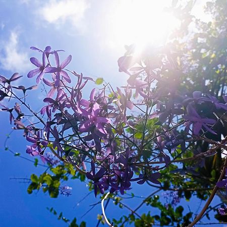 Отель Le Ti Bali Chambre Сен-Лё Экстерьер фото